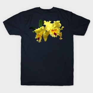 Two Yellow Cattleya Orchids T-Shirt